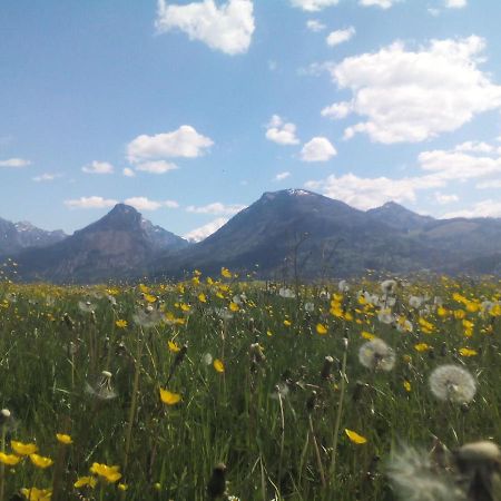 S-Hansn Sankt Wolfgang im Salzkammergut Екстер'єр фото